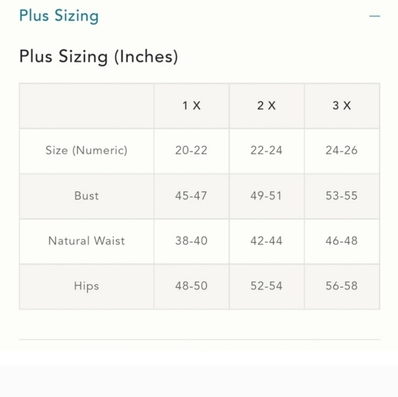 Anthropologie Alexandra Farmer Printed Maxi Dress size 2X New - Picture 13 of 15